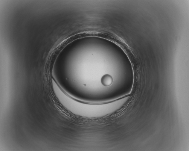 X0000116321448200912091010