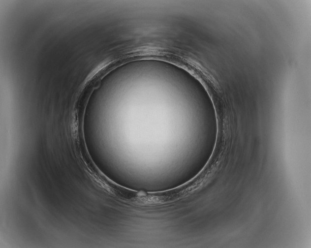 X0000116321450200912091010