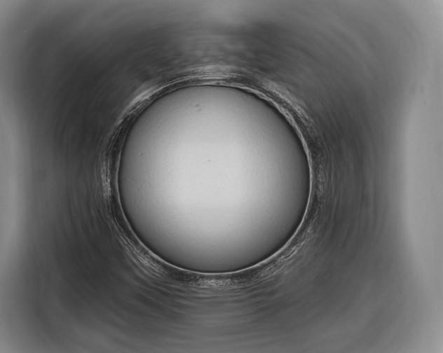 X0000116321451200912091010