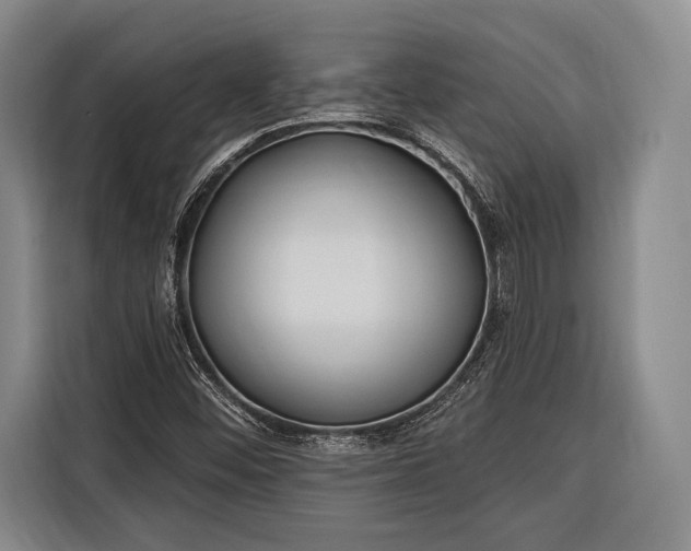 X0000116321452200912091010