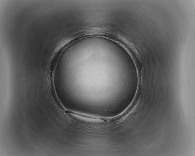 X0000116321453200912091009