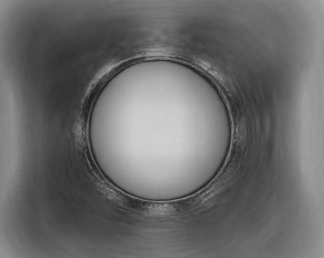 X0000116321454200912091009