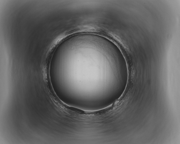 X0000116321455200912091009