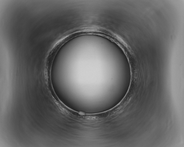 X0000116321456200912091009