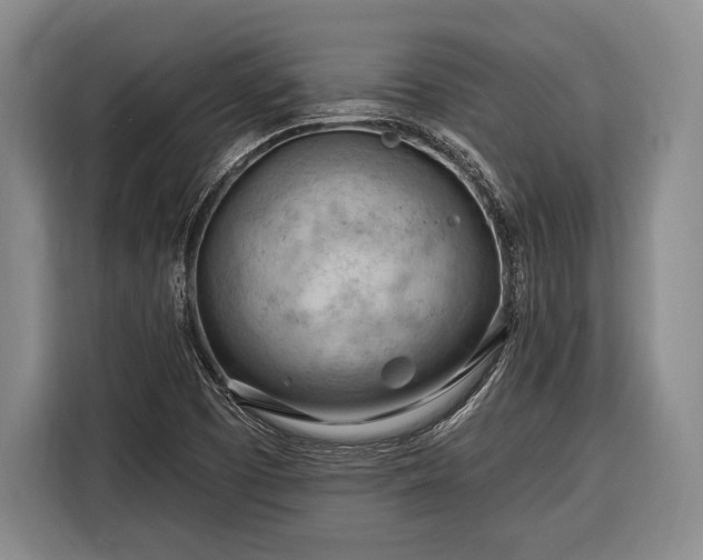 X0000116321457200912091009