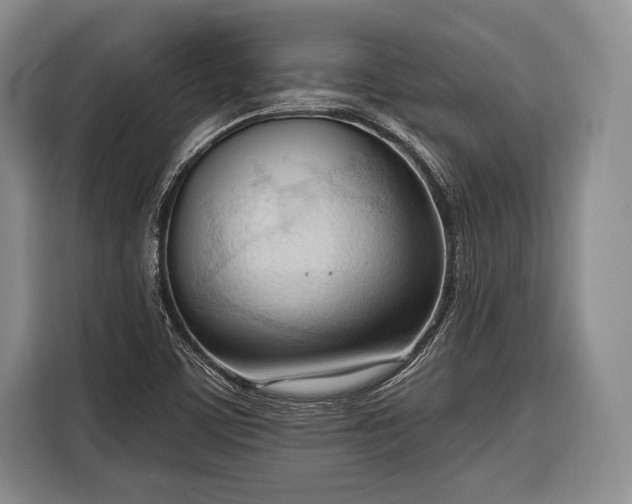 X0000116321459200912091009