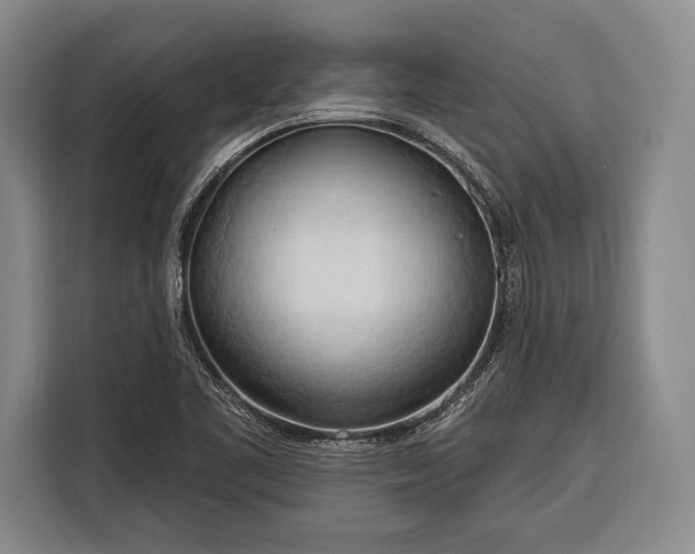 X0000116321461200912091009