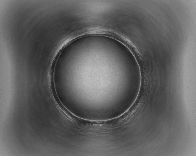 X0000116321463200912091009