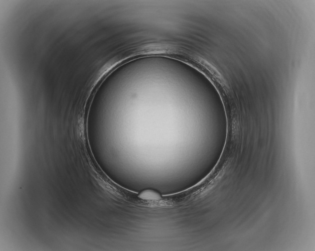 X0000116321465200912091009