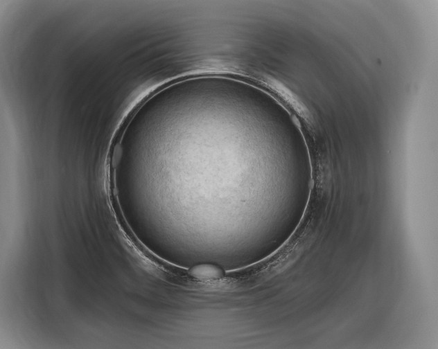 X0000116321468200912091009