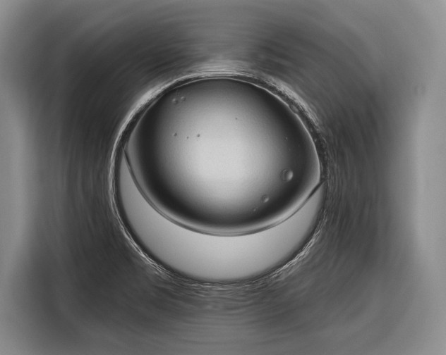 X0000116321469200912091009