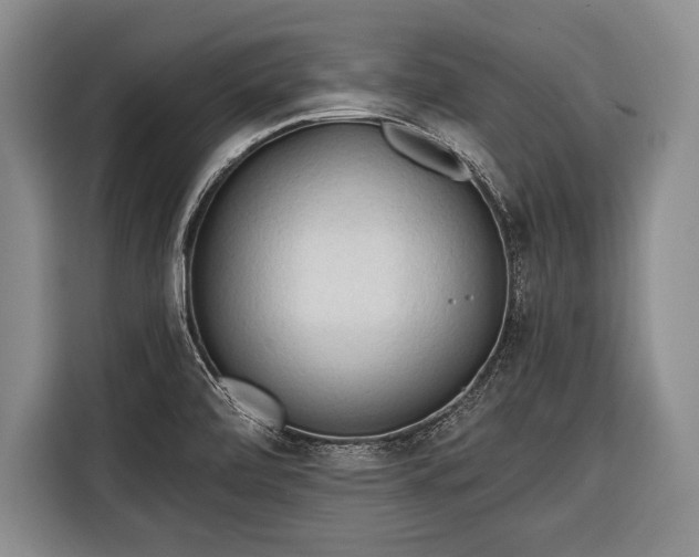 X0000116321472200912091009