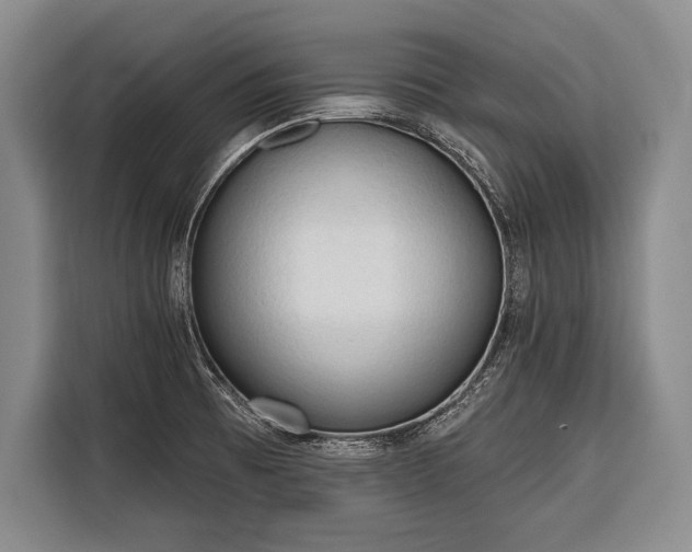 X0000116321473200912091009