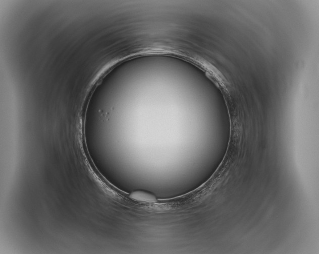 X0000116321476200912091009