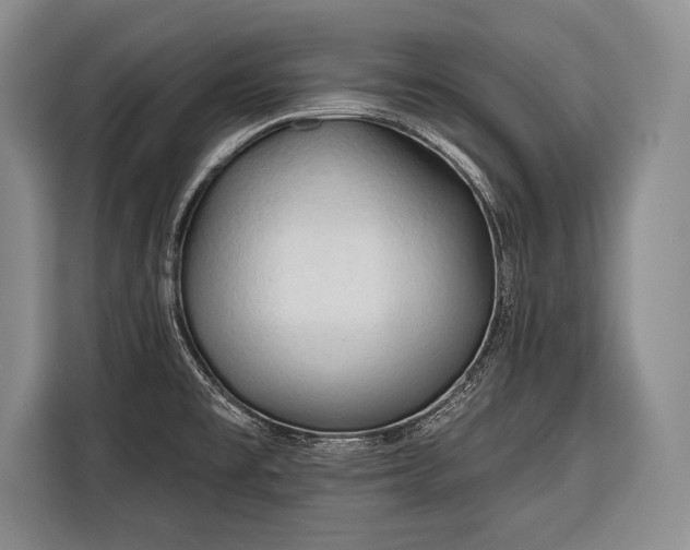 X0000116321477200912091009