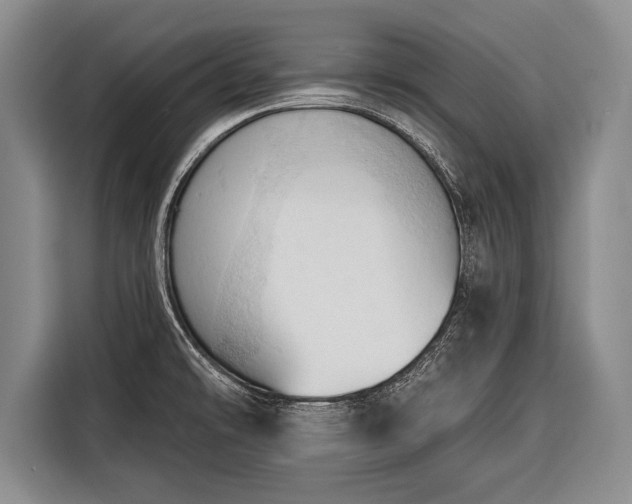 X0000116321478200912091009