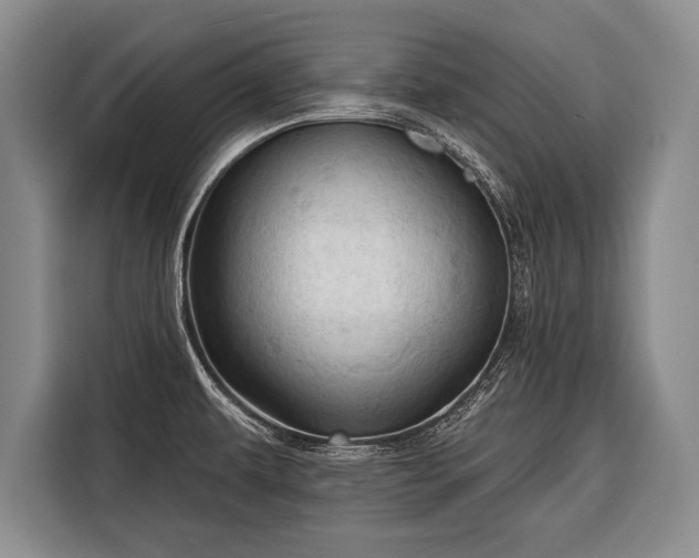 X0000116321479200912091009