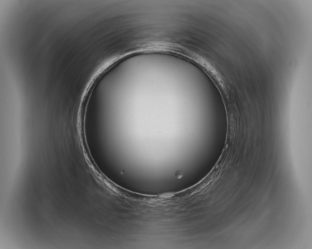 X0000116321480200912091009