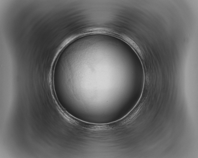 X0000116321482200912091009