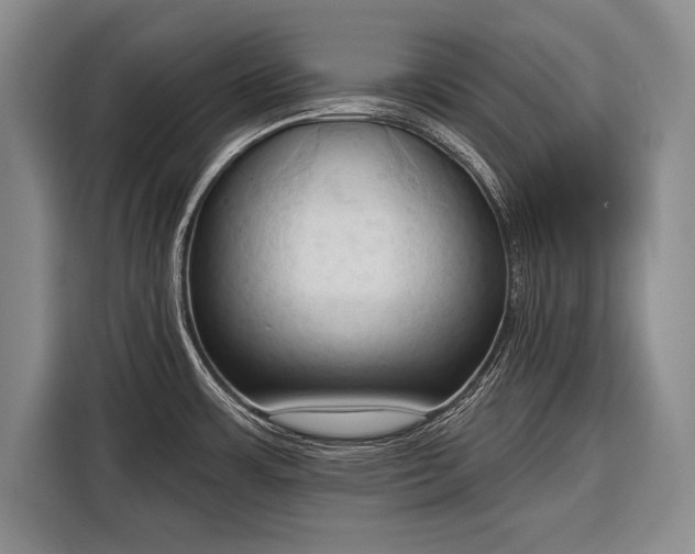 X0000116321483200912091009