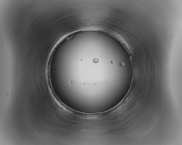 X0000116321484200912091009