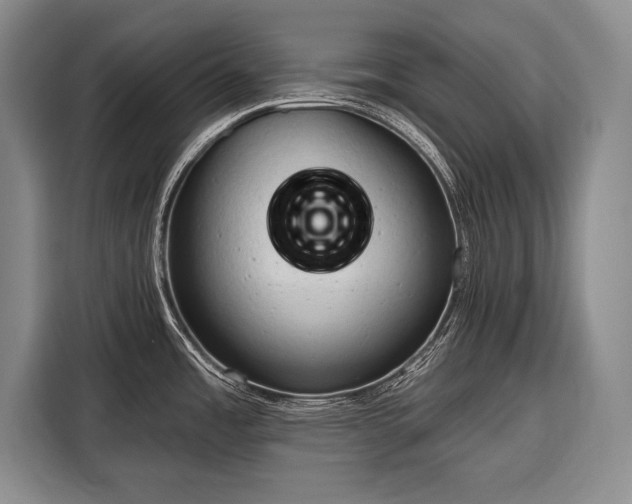 X0000116321485200912091009