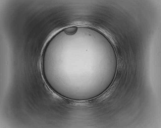 X0000116321486200912091009