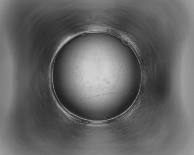 X0000116321487200912091009