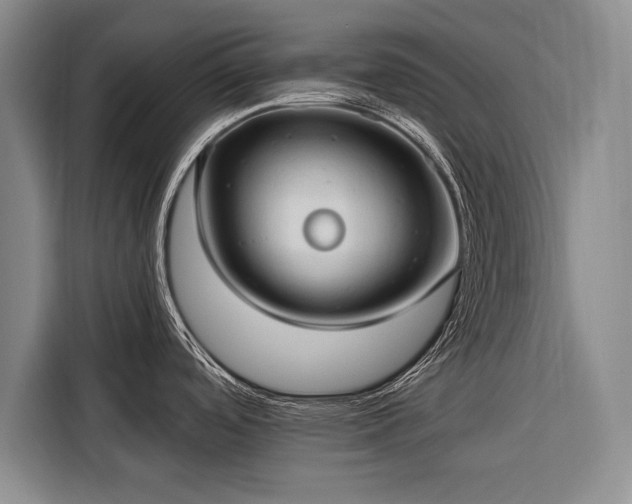 X0000116321488200912091009