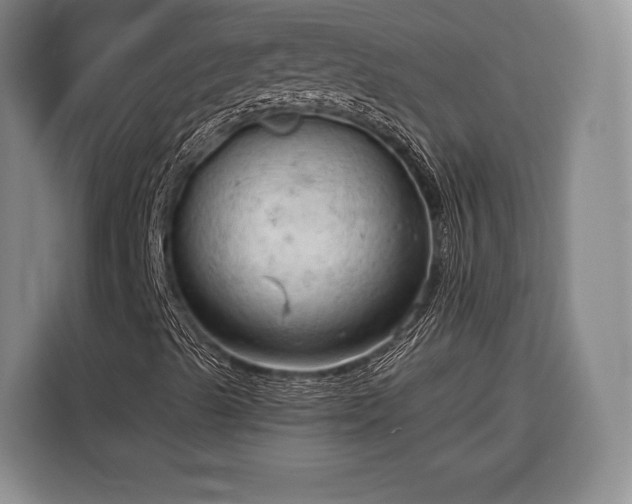 X0000116321489200912091008