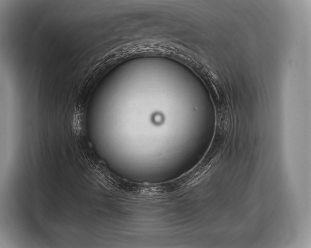 X0000116321490200912091008