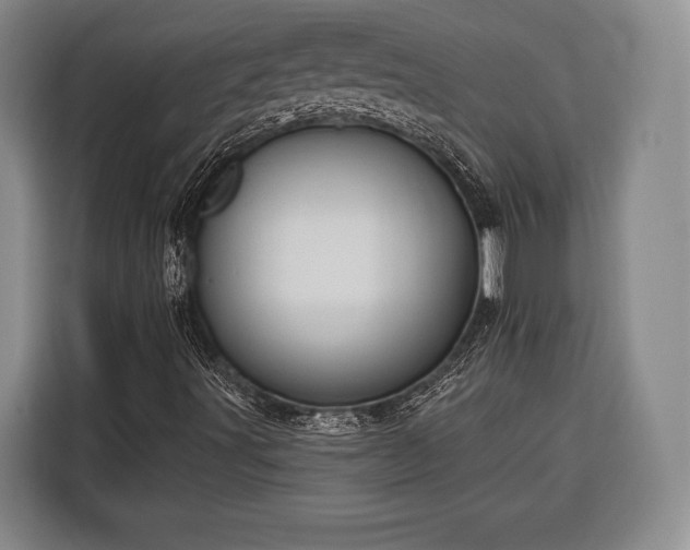 X0000116321491200912091008