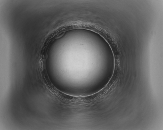 X0000116321493200912091008