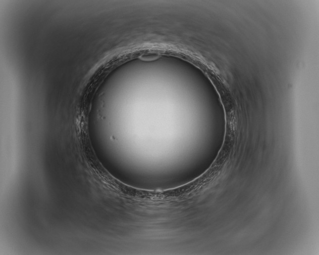 X0000116321495200912091008