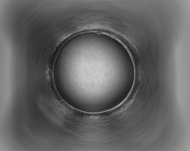 X0000116321497200912091009