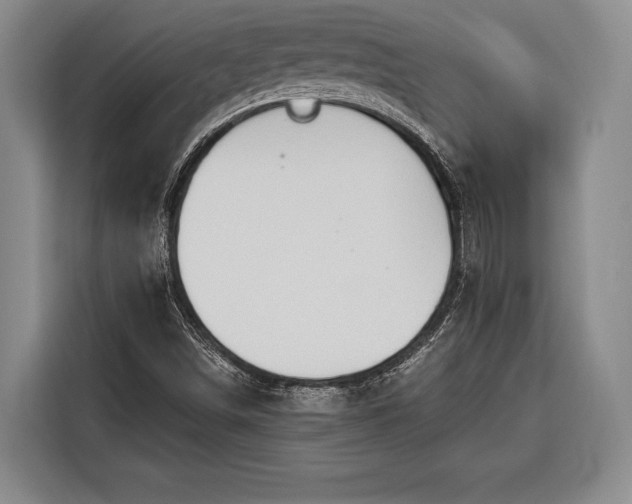 X0000116321498200912091009