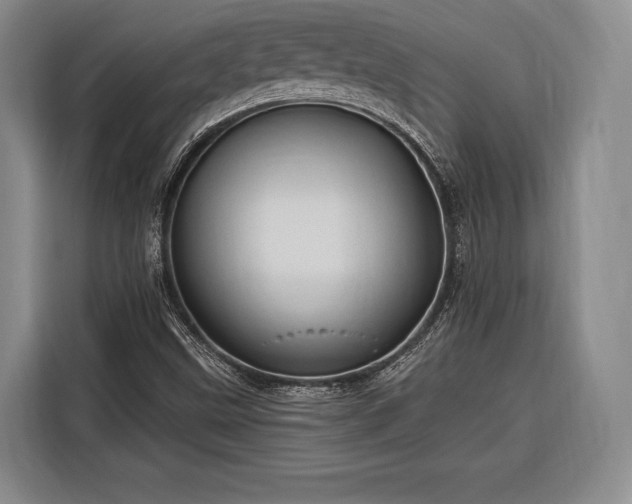 X0000116321499200912091009