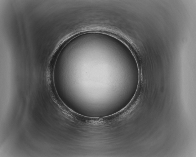 X0000116321501200912091009