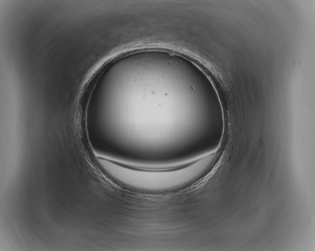 X0000116321502200912091009