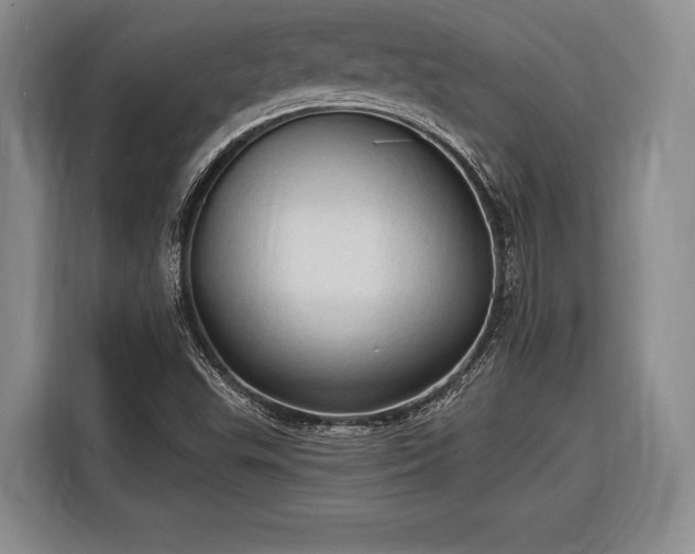 X0000116321503200912091009