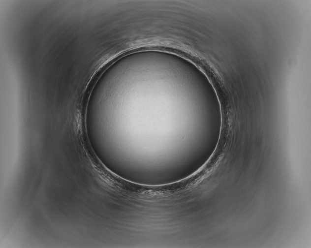 X0000116321505200912091009