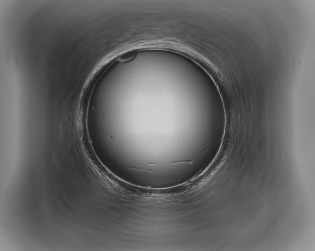 X0000116321506200912091009