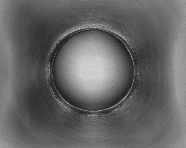 X0000116321507200912091009