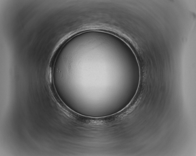 X0000116321509200912091009