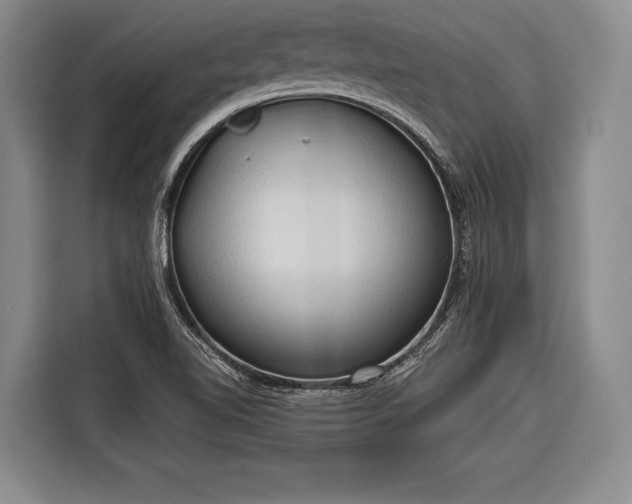 X0000116321510200912091009