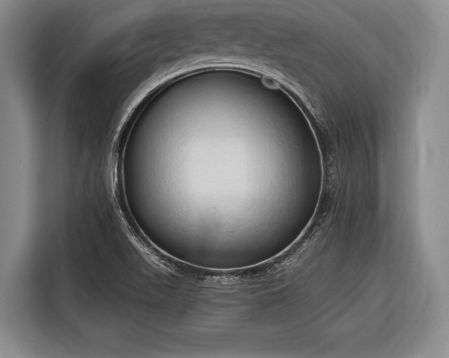 X0000116321511200912091009