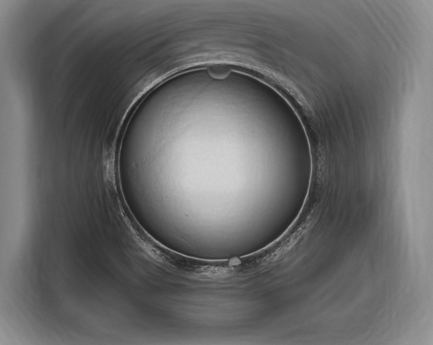 X0000116321513200912091009