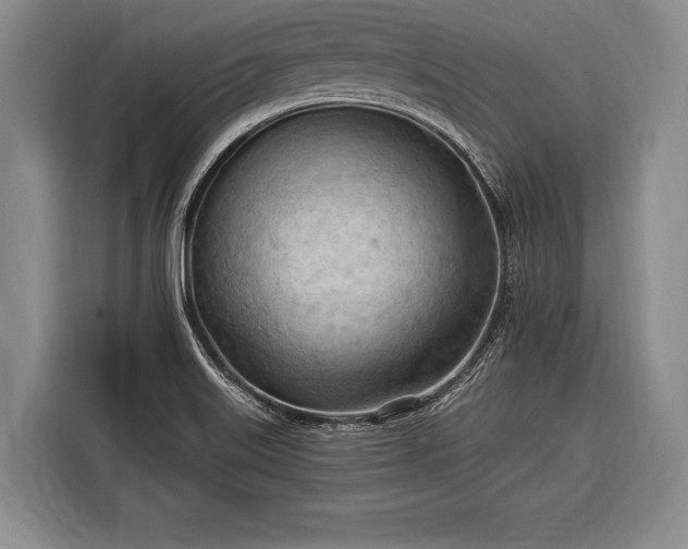 X0000116321515200912091009