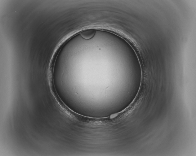 X0000116321517200912091009