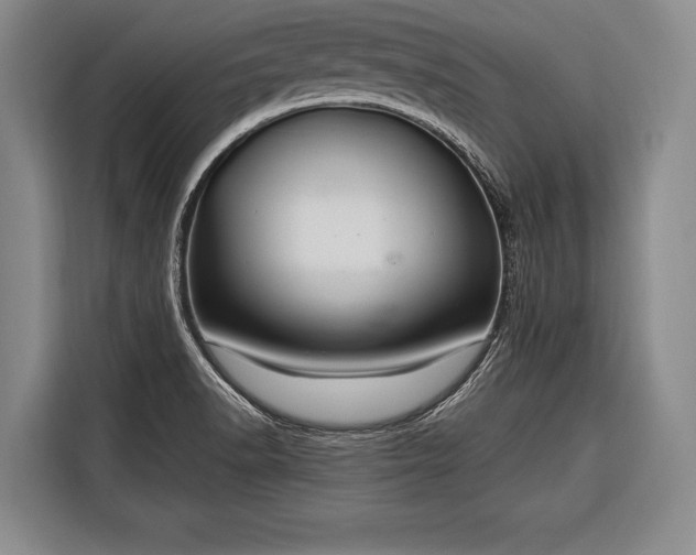 X0000116321518200912091009